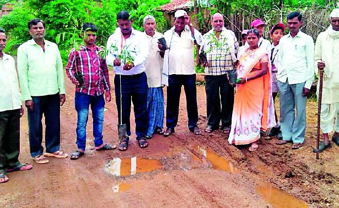 Planting the middle of the road | रस्त्याच्या मधोमध वृक्ष लागवड Planting the middle of the road | रस्त्याच्या मधोमध वृक्ष लागवड