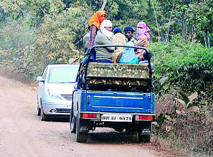 Nagzira Sanctuary will open from November 1 | नागझिरा अभयारण्य १ नोव्हेंबरपासून खुलणार Nagzira Sanctuary will open from November 1 | नागझिरा अभयारण्य १ नोव्हेंबरपासून खुलणार