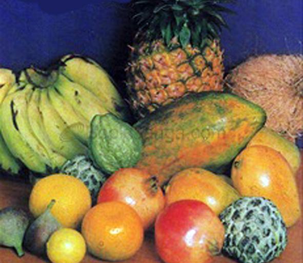  Horticulture Bills | फळबाग योजनेला जाचक अटींचे काटे