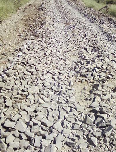 Accidental death of one per 2 days | वर्षभरात एक दिवसाआड एकाचा अपघाती मृत्यू Accidental death of one per 2 days | वर्षभरात एक दिवसाआड एकाचा अपघाती मृत्यू