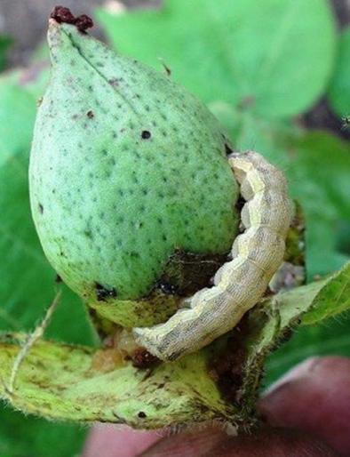 Now taluka wise scientist | आता तालुकानिहाय शास्त्रज्ञ Now taluka wise scientist | आता तालुकानिहाय शास्त्रज्ञ