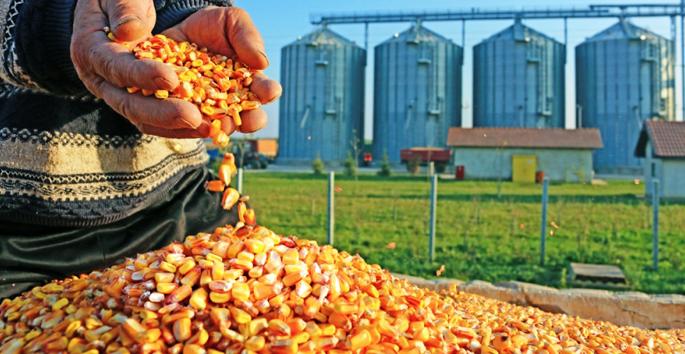  The first industrial estate of the farmers | शेतकऱ्यांची पहिली औद्योगिक वसाहत