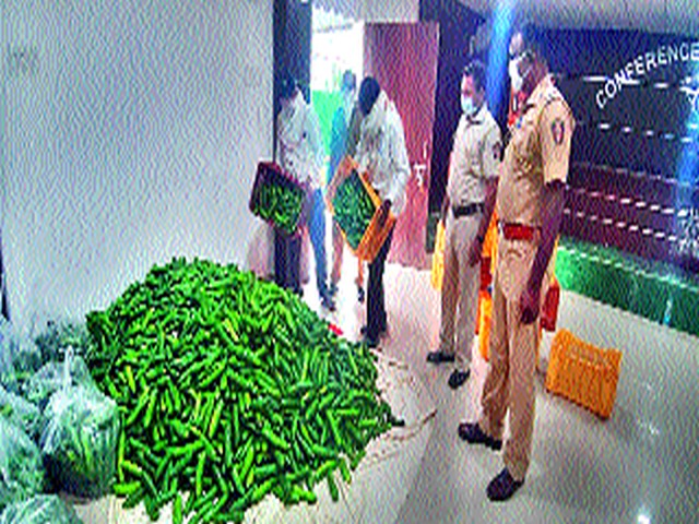 Cucumber presents to the police from the farmer | शेतकऱ्याकडून पोलिसांना काकडीची भेट Cucumber presents to the police from the farmer | शेतकऱ्याकडून पोलिसांना काकडीची भेट