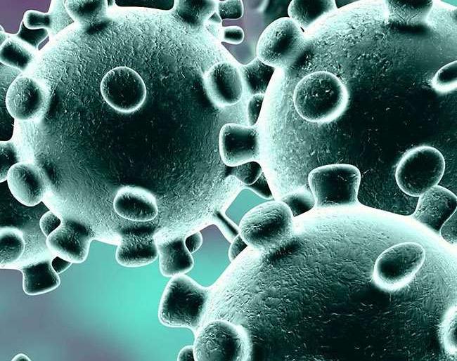 Notice to all four who arrived in Malogaon from Coronado | मालेगावला कोरोनाबाधीत देशातून आलेल्या चौघांना नोटीस  Notice to all four who arrived in Malogaon from Coronado | मालेगावला कोरोनाबाधीत देशातून आलेल्या चौघांना नोटीस