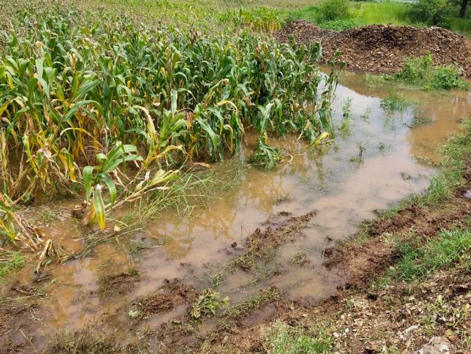 Demand for compensation through damages | नुकसानीचे पंचनामे करुन भरपाईची मागणी Demand for compensation through damages | नुकसानीचे पंचनामे करुन भरपाईची मागणी