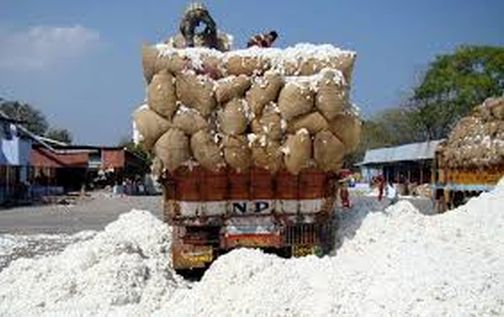 Five and a half lakh rupees to a cotton trader | कापूस व्यापाऱ्याला साडेपाच लाखांचा गंडा
