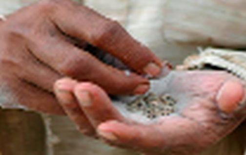 Gutkha worth Rs 2 lakh seized in Dhanora, one arrested | धानोऱ्यात दोन लाखांचा गुटखा जप्त, एकास अटक