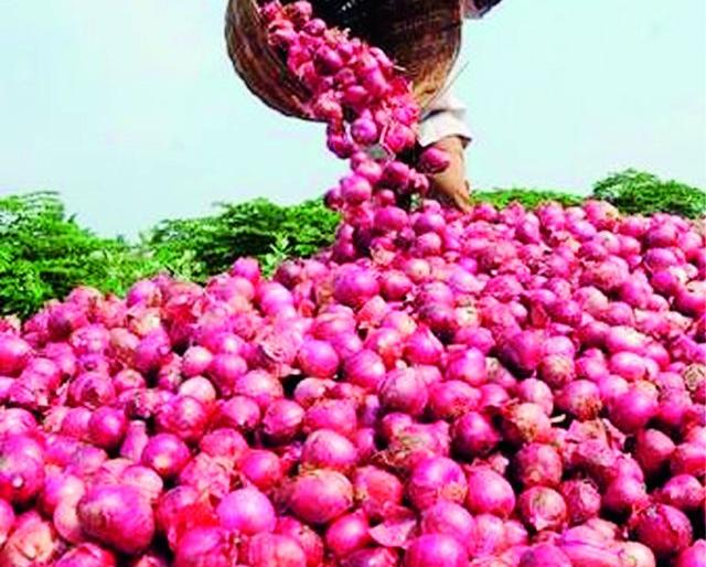 Falling onion prices; Baliraja worried | कांदा दरात घसरण; बळीराजा चिंतित Falling onion prices; Baliraja worried | कांदा दरात घसरण; बळीराजा चिंतित