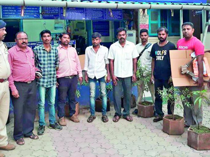 Ratnagiri: The five accused who smuggled the sambar horn in Chiplun | रत्नागिरी : चिपळुणात सांबर शिंगाची तस्करी करणारे पाच अटकेत Ratnagiri: The five accused who smuggled the sambar horn in Chiplun | रत्नागिरी : चिपळुणात सांबर शिंगाची तस्करी करणारे पाच अटकेत