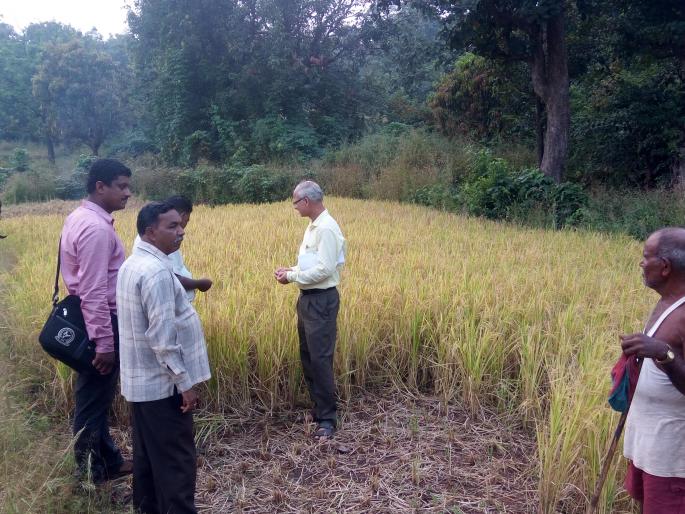 Inspection of Drought situation in Mandangad, direct examination of the committee | रत्नागिरी : मंडणगडातील दुष्काळ स्थितीची समितीकडून प्रत्यक्ष पाहणी Inspection of Drought situation in Mandangad, direct examination of the committee | रत्नागिरी : मंडणगडातील दुष्काळ स्थितीची समितीकडून प्रत्यक्ष पाहणी