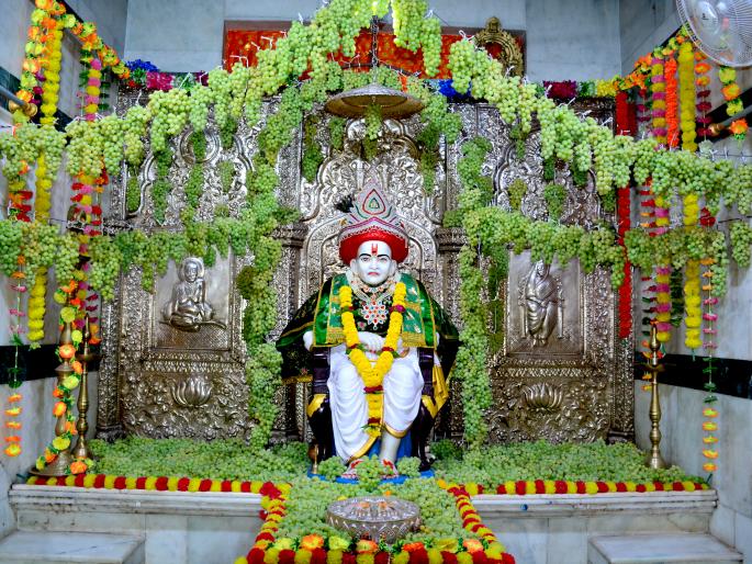 Decorate the vine with the gods | देव मामलेदारांना द्राक्षांची आरास Decorate the vine with the gods | देव मामलेदारांना द्राक्षांची आरास