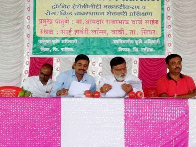 Training camp for pomegranate exports | डाळिंब निर्यातीसाठी प्रशिक्षण शिबिर Training camp for pomegranate exports | डाळिंब निर्यातीसाठी प्रशिक्षण शिबिर