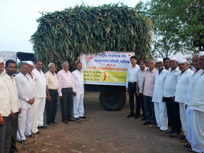 50 Tons of Fodder to three villages from the Public Welfare Committee | जनकल्याण समितीकडून तीन गावांना ५० टन चारावाटप