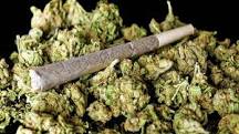Coronavirus News: Cannabis user arrested in public place at Thane | Coronavirus News: सार्वजनिक ठिकाणी गांजाचे सेवन करणाऱ्यास अटक Coronavirus News: Cannabis user arrested in public place at Thane | Coronavirus News: सार्वजनिक ठिकाणी गांजाचे सेवन करणाऱ्यास अटक