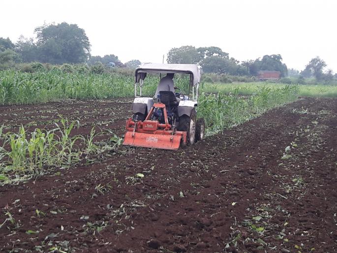 Fighter trap, rolled tractors on one and a half acres of corn | लष्करी अळीचा फटका, दीड एकर मक्यावर फिरविला ट्रॅक्टर Fighter trap, rolled tractors on one and a half acres of corn | लष्करी अळीचा फटका, दीड एकर मक्यावर फिरविला ट्रॅक्टर