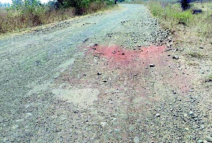 Wasted traffic in the mozzy area | मोझरी परिसरातील मार्गांने बिकट वहिवाट Wasted traffic in the mozzy area | मोझरी परिसरातील मार्गांने बिकट वहिवाट