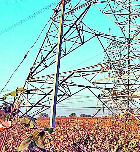 Tower is the safest place for the monkeys | टॉवर ठरताहेत माकडांना सुरक्षित ठिकाण