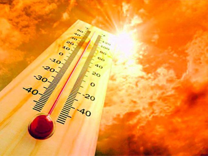 No amus, nor sugarcane juice, is the only 'virus'! | ना आमरस, ना उसाचा रस, आहे केवळ ‘व्हायरस’! No amus, nor sugarcane juice, is the only 'virus'! | ना आमरस, ना उसाचा रस, आहे केवळ ‘व्हायरस’!