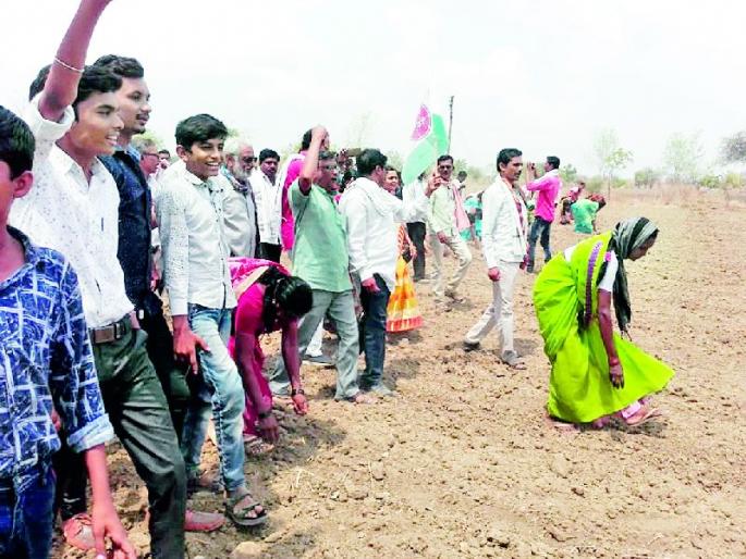 Prohibited restricted seed law | प्रतिबंधित बियाणे कायदा झुगारला