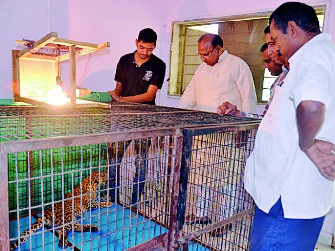 MPs accepted 'Avian's guardianship' | खासदारांनी स्वीकारले ‘एव्हीन’चे पालकत्व