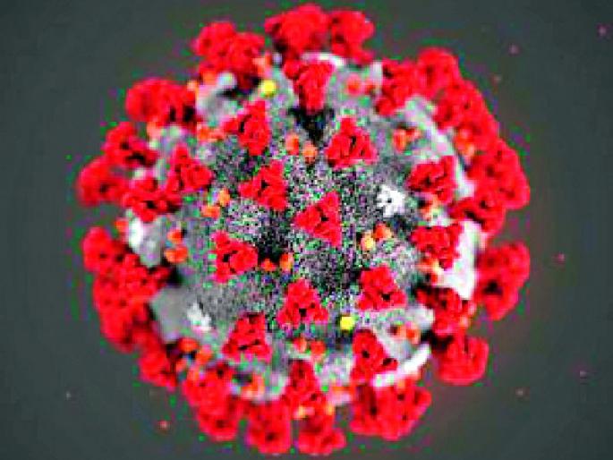 Nine corona positive in Yavatmal | यवतमाळात नऊ कोरोना पॉझिटिव्ह Nine corona positive in Yavatmal | यवतमाळात नऊ कोरोना पॉझिटिव्ह