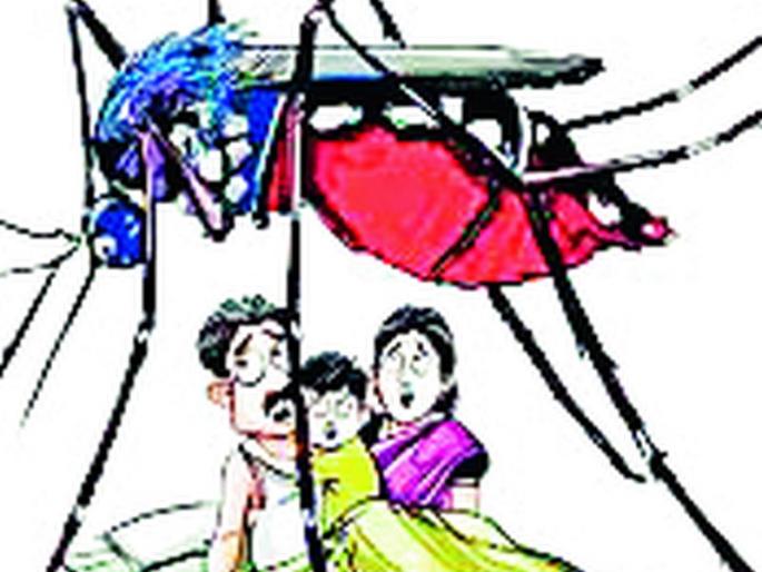 41 dengue patients in six months | सहा महिन्यांत डेंग्यूचे ४१ रूग्ण 41 dengue patients in six months | सहा महिन्यांत डेंग्यूचे ४१ रूग्ण