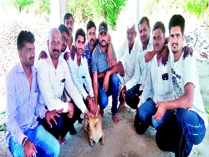 Patodekar gave life to the survivor of the well | विहिरीत पडलेल्या हरणास पाटोदेकरांनी दिले जीवदान  Patodekar gave life to the survivor of the well | विहिरीत पडलेल्या हरणास पाटोदेकरांनी दिले जीवदान