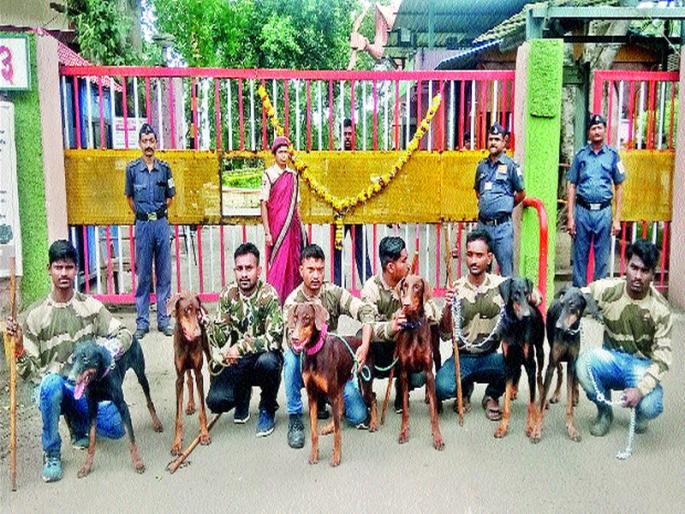 Dog squad stationed at the thermal power station | औष्णिक वीज केंद्रात श्वान पथक तैनात Dog squad stationed at the thermal power station | औष्णिक वीज केंद्रात श्वान पथक तैनात