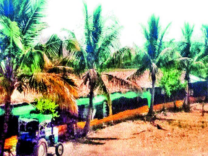 Temperature swelter: Poultry business worried | तपमानवाढीचा फटका : पोल्ट्री व्यावसायिक चिंतित