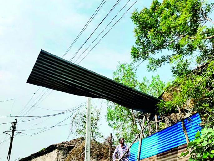 Five-year-old Chimukla was killed when a branch fell on him | फांदी अंगावर कोसळल्याने पाच वर्षीय चिमुकला ठार