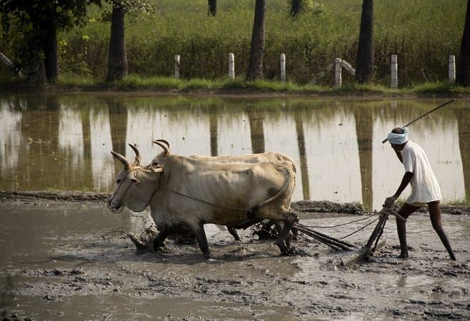 Take one day's wages but give subsidies to farmers | एक दिवसाचे वेतन घ्या पण, शेतकऱ्यांना अनुदान द्या Take one day's wages but give subsidies to farmers | एक दिवसाचे वेतन घ्या पण, शेतकऱ्यांना अनुदान द्या