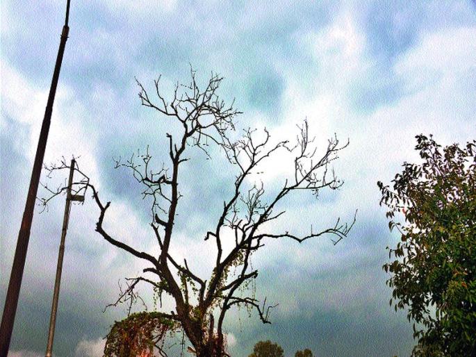 Cloudy atmosphere on second day; Sporadic show | दुसºया दिवशीही ढगाळ वातावरण; तुरळक सरी Cloudy atmosphere on second day; Sporadic show | दुसºया दिवशीही ढगाळ वातावरण; तुरळक सरी