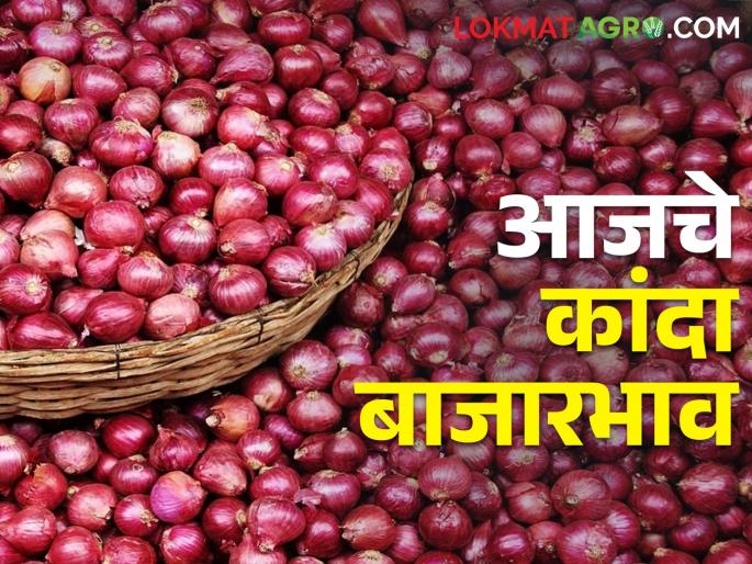 Latest News 21 Feb 2024 todays Onion Market Price In Nashik and maharashtra | लासलगाव बाजार समितीत कांदा घसरला, आज कुठे, काय बाजारभाव मिळाला? Latest News 21 Feb 2024 todays Onion Market Price In Nashik and maharashtra | लासलगाव बाजार समितीत कांदा घसरला, आज कुठे, काय बाजारभाव मिळाला?