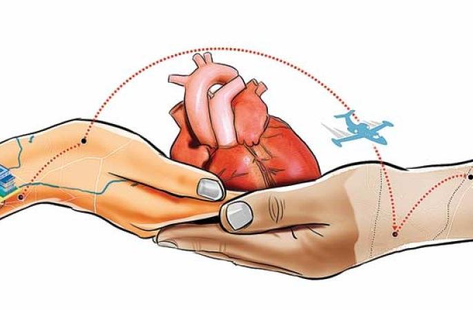 In the last year, six heart patients have not been found | उपराजधानीत वर्षभरात सहा हृदयांना मिळाले नाहीत रुग्ण