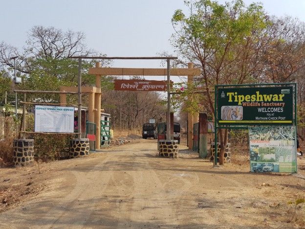 There are no facilities for tourists in Tipeshwar Sanctuary | टिपेश्वर अभयारण्यामध्ये पर्यटकांना सुविधाच नाहीत There are no facilities for tourists in Tipeshwar Sanctuary | टिपेश्वर अभयारण्यामध्ये पर्यटकांना सुविधाच नाहीत