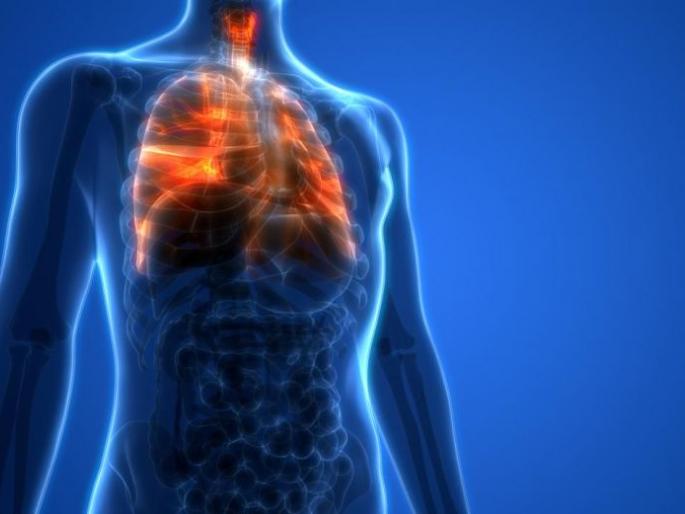 After corona, 8% of patients need a lung transplant | कोरोनानंतर ८ टक्के रुग्णांना ‘लंग ट्रान्सप्लांट’ची गरज After corona, 8% of patients need a lung transplant | कोरोनानंतर ८ टक्के रुग्णांना ‘लंग ट्रान्सप्लांट’ची गरज