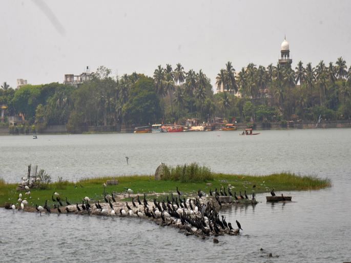 World Water Day: Depletion of Natural Water Resources Challenges Wildlife Survival | जागतिक जल दिवस विशेष: नैसर्गिक पाणीसाठा कमी झाल्याने वन्यजीवांच्या अस्तित्वाचा प्रश्न World Water Day: Depletion of Natural Water Resources Challenges Wildlife Survival | जागतिक जल दिवस विशेष: नैसर्गिक पाणीसाठा कमी झाल्याने वन्यजीवांच्या अस्तित्वाचा प्रश्न