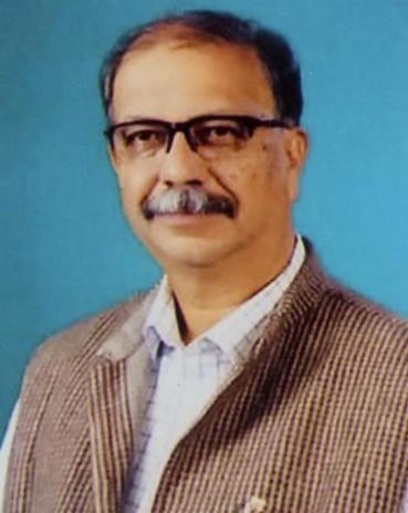 Anand Manasey's 'Bagal' award this year | आनंद मेणसे यांना यावर्षीचा ‘बागल’ पुरस्कार Anand Manasey's 'Bagal' award this year | आनंद मेणसे यांना यावर्षीचा ‘बागल’ पुरस्कार