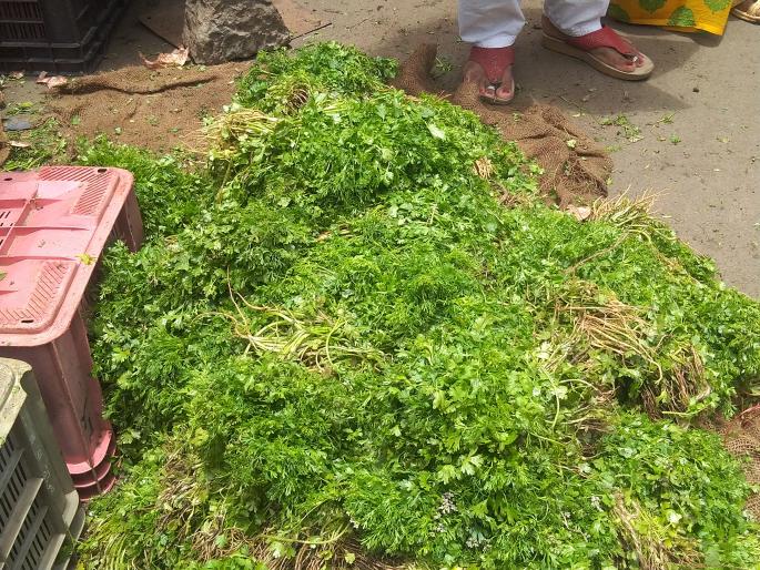 After cereals and pulses, now vegetables are also grown | कडधान्य, डाळीनंतर आता भाजीपालाही कडाडला After cereals and pulses, now vegetables are also grown | कडधान्य, डाळीनंतर आता भाजीपालाही कडाडला