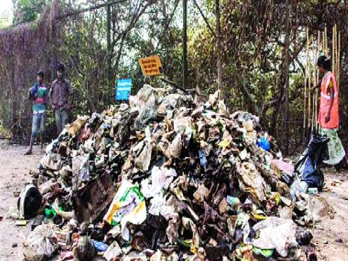 Thalassemia risk, more than 3 lakh kg of plastic waste in eight parts | तिवरांना धोका, आठ भागांतून ३ लाख किलोपेक्षा जास्त प्लॅस्टिक कच-याची उचल Thalassemia risk, more than 3 lakh kg of plastic waste in eight parts | तिवरांना धोका, आठ भागांतून ३ लाख किलोपेक्षा जास्त प्लॅस्टिक कच-याची उचल