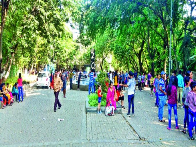 Katrraj zoo Neglected | कात्रज प्राणिसंग्रहालयाकडे दुर्लक्ष, दत्तक योजनेत महसुलाचा नीचांक Katrraj zoo Neglected | कात्रज प्राणिसंग्रहालयाकडे दुर्लक्ष, दत्तक योजनेत महसुलाचा नीचांक