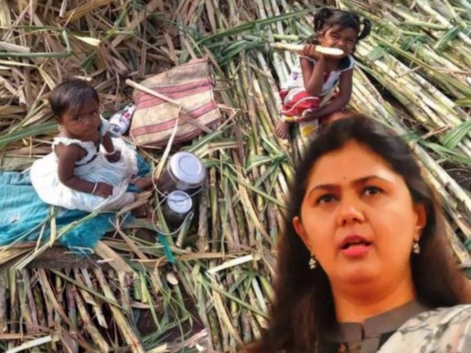 BJP Pankaja Munde give reply to Facebook User question related to education on her post from boston | “तुमची लेकरं परदेशात अन् आमची कायम उसाच्या फडात”; व्हायरल पोस्टवर पंकजा मुंडेचं उत्तर BJP Pankaja Munde give reply to Facebook User question related to education on her post from boston | “तुमची लेकरं परदेशात अन् आमची कायम उसाच्या फडात”; व्हायरल पोस्टवर पंकजा मुंडेचं उत्तर