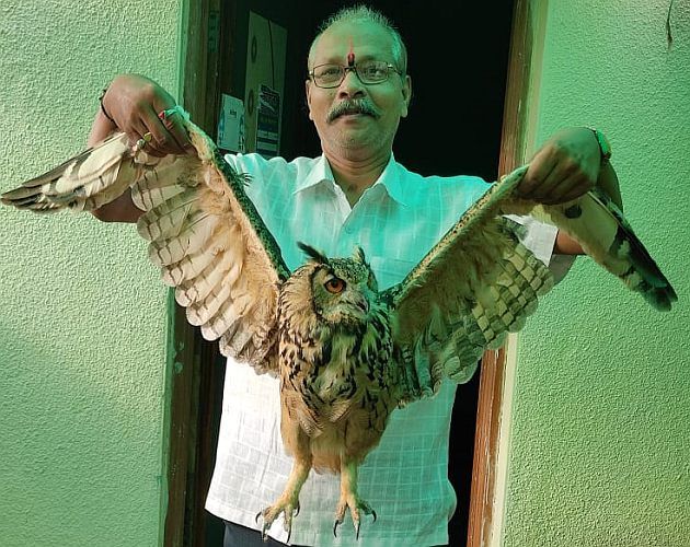A three-foot-long owl rescued from a Chinese owl in Amravati district | अमरावती जिल्ह्यात चिनी मांज्यातून सोडवले तीन फूट लांबीचे घुबड A three-foot-long owl rescued from a Chinese owl in Amravati district | अमरावती जिल्ह्यात चिनी मांज्यातून सोडवले तीन फूट लांबीचे घुबड