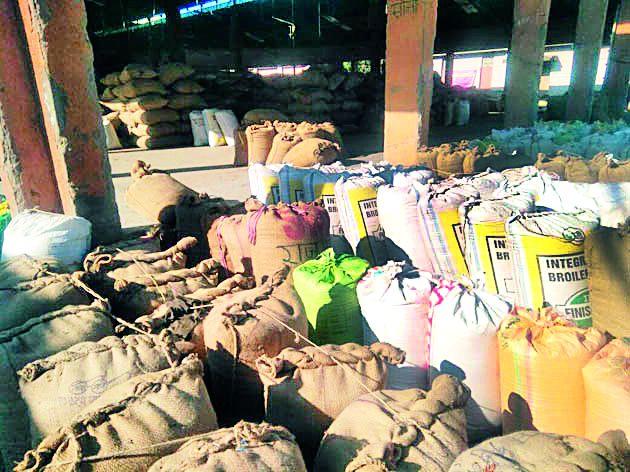 In the tour yardabhabe due to purchase | खरेदीअभावी तूर यार्डातच In the tour yardabhabe due to purchase | खरेदीअभावी तूर यार्डातच