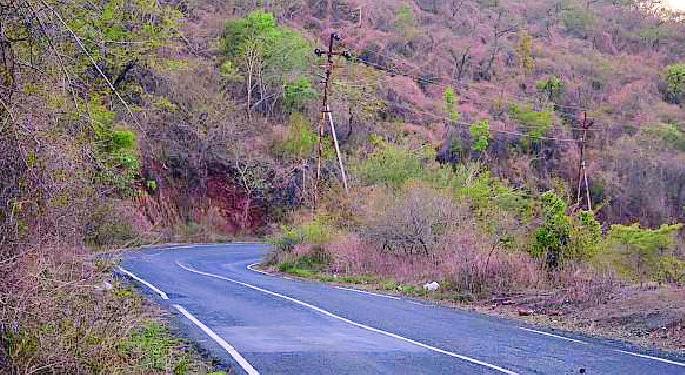 Pohra, Malkhed Forest Biodiversity Reserve | पोहरा, मालखेड जंगल जैवविविधतेचे भांडार Pohra, Malkhed Forest Biodiversity Reserve | पोहरा, मालखेड जंगल जैवविविधतेचे भांडार