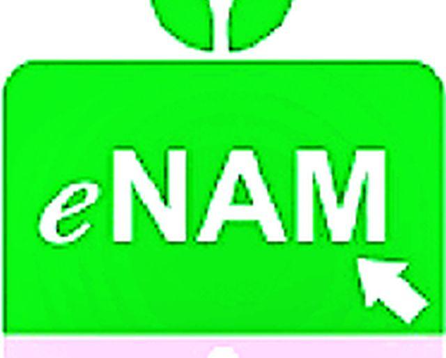 E-Trading in Amravati Market Committee | अमरावती बाजार समितीत ई-ट्रेडिंग E-Trading in Amravati Market Committee | अमरावती बाजार समितीत ई-ट्रेडिंग