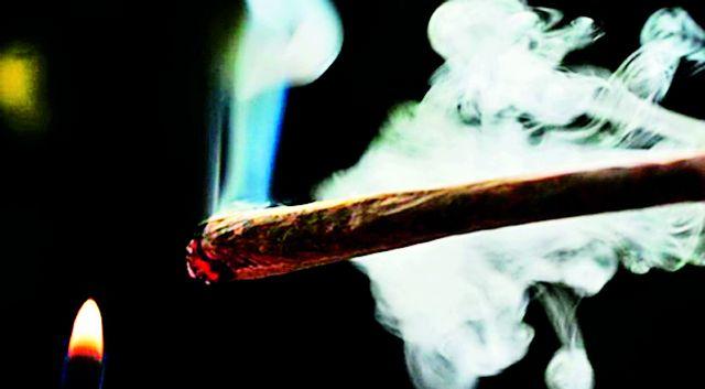 The consignment comes from Madhya Pradesh, Amravati | मध्यप्रदेश, अमरावतीतून येते खेप The consignment comes from Madhya Pradesh, Amravati | मध्यप्रदेश, अमरावतीतून येते खेप