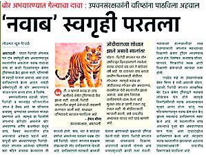 Please inquire about Nawab's CID | ‘नवाब’ची सीआयडी चौकशी करा