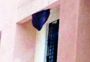 Bees attack on Tivasa tehsil | तिवसा तहसीलवर मधमाशांचा हल्ला Bees attack on Tivasa tehsil | तिवसा तहसीलवर मधमाशांचा हल्ला
