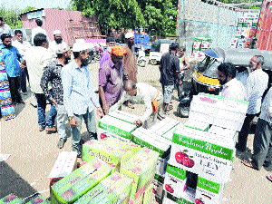 Fifteen thousand vessels of Kashmiri apple crafted in the hands | हातोहात खपल्या काश्मिरी सफरचंदच्या पंधरा हजार पेट्या Fifteen thousand vessels of Kashmiri apple crafted in the hands | हातोहात खपल्या काश्मिरी सफरचंदच्या पंधरा हजार पेट्या